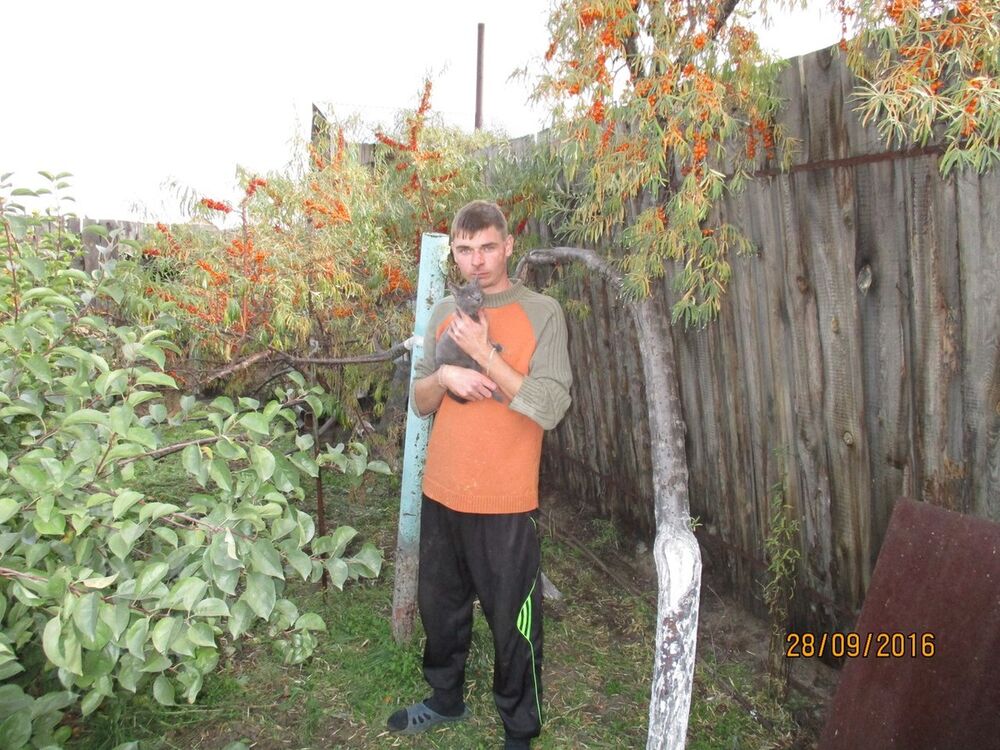 ���������� ����-���, ���� ������� �������, 36 ���, ������������ ��� ������, ����� � ���������, c�������� ���������