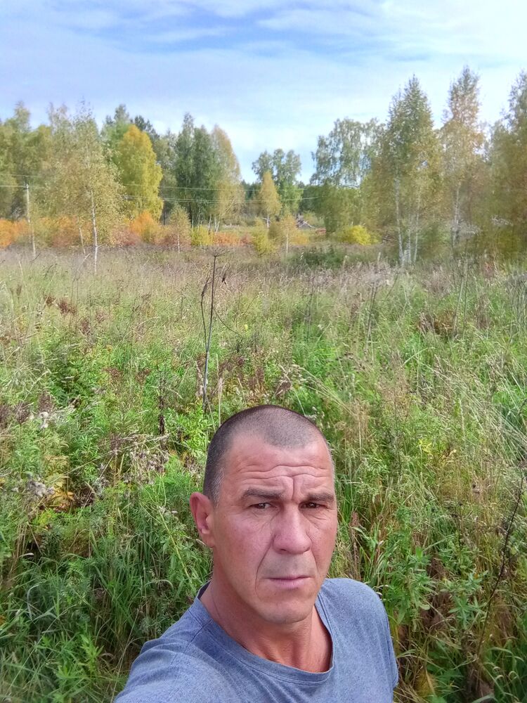  38090383  , 44 ,    