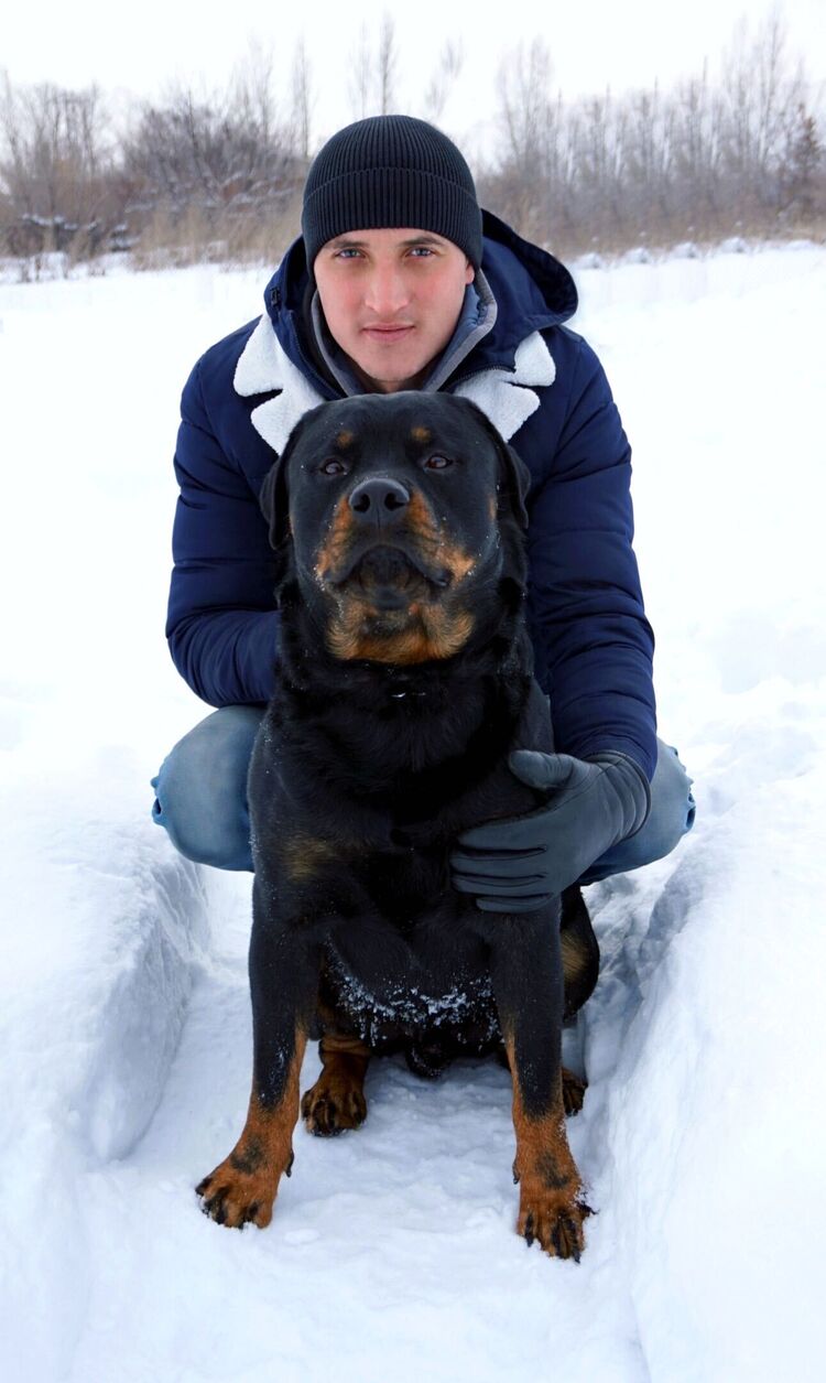 ���� 31165753 ������� ����, 33 ����, ���� ���������� � ��������