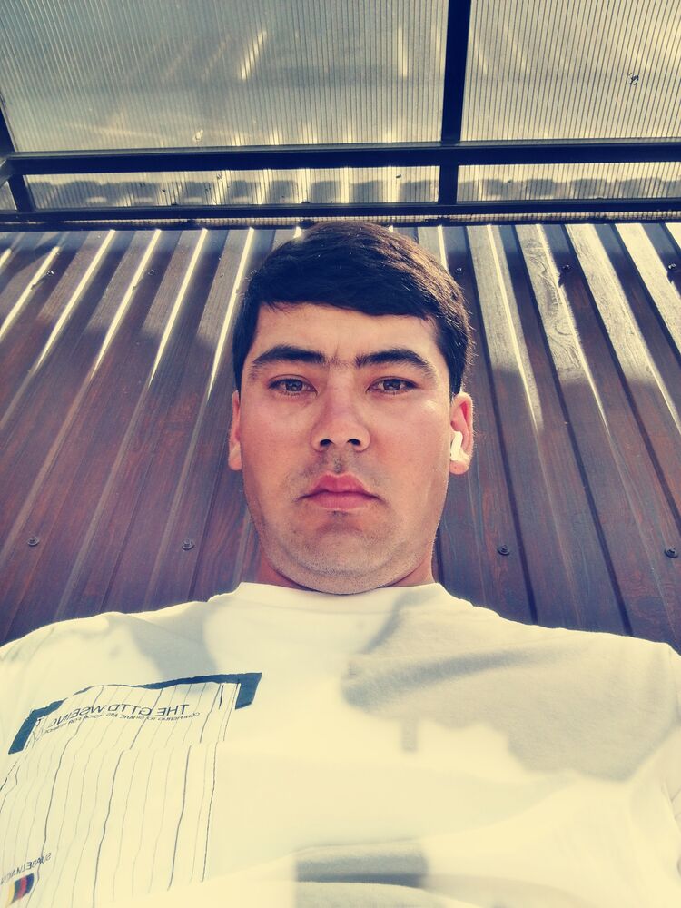  43980373  , 31 ,    
