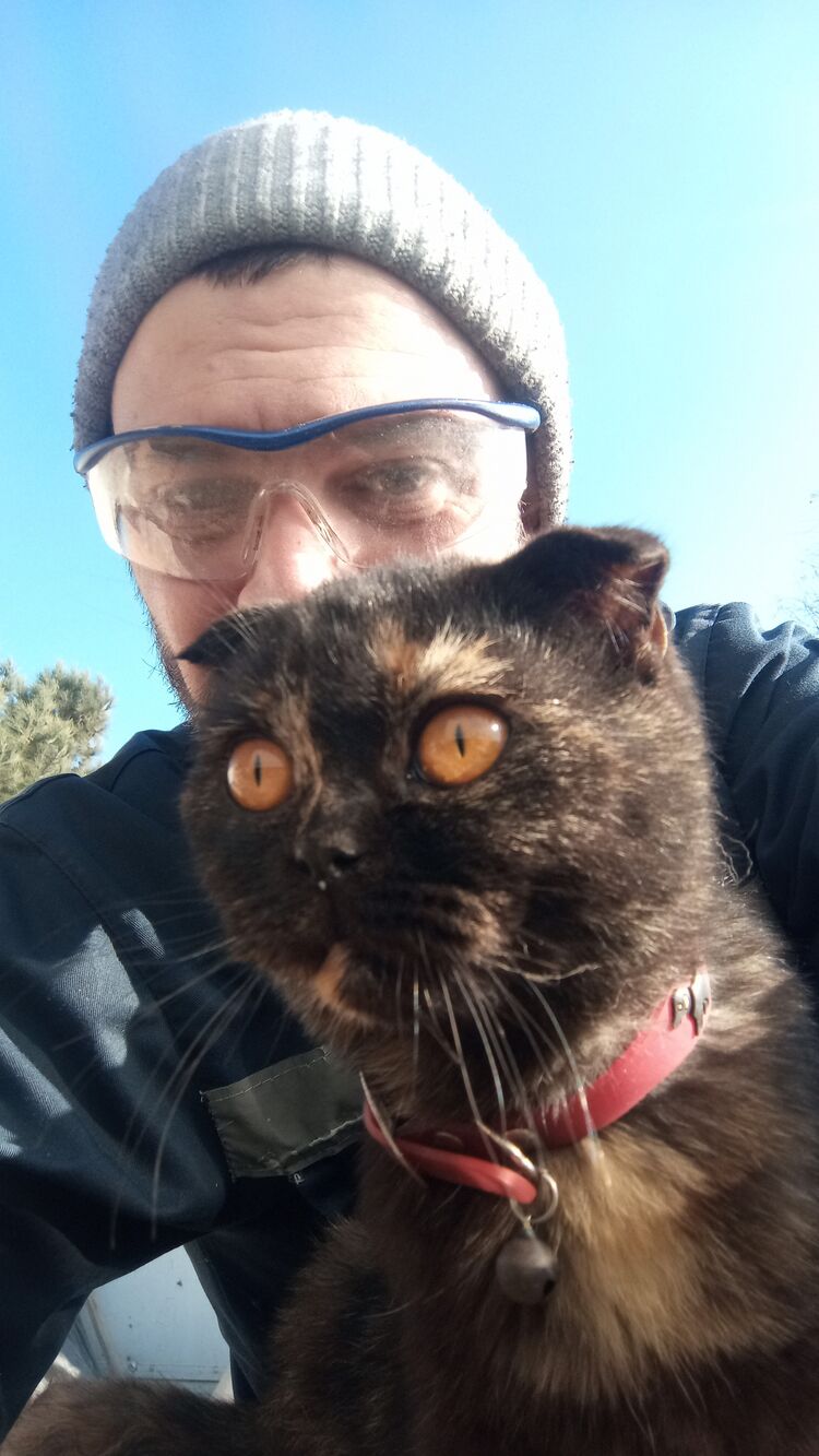 ���� 55544123 ������� �����, 41 ���, ���� ���������� � ��������