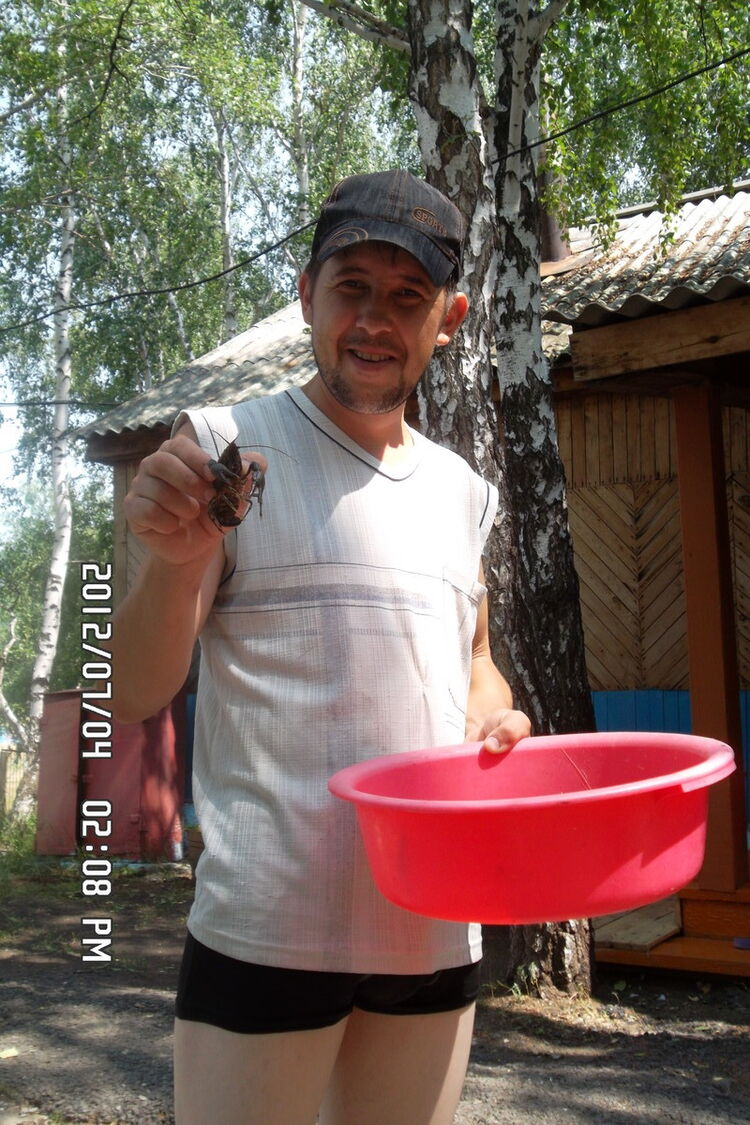  ,   , 42 ,   