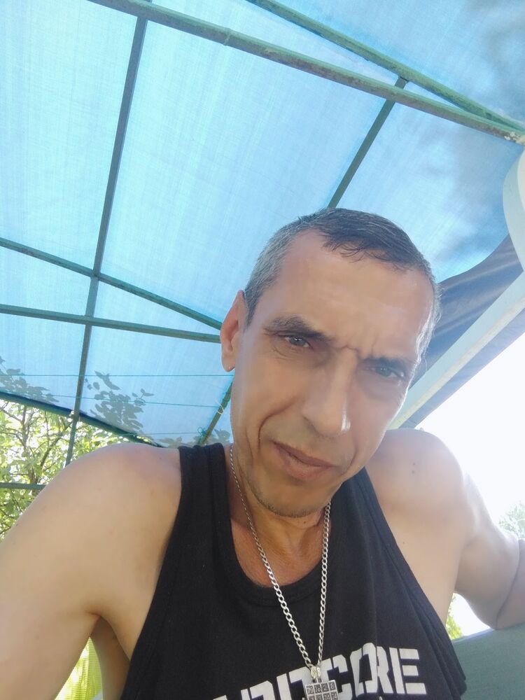  50493473  , 48 ,    