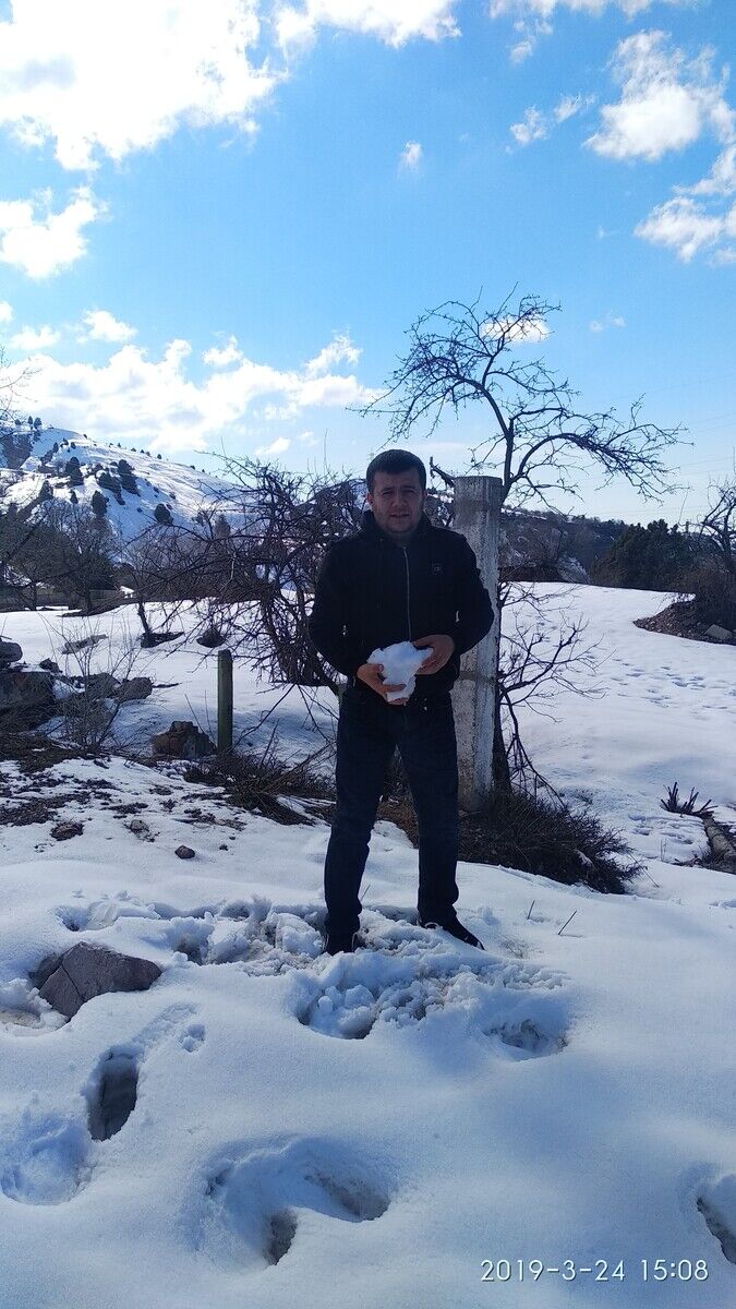 ���������� �������, ���� ������� Alimoff, 36 ���, ������������ ��� ������, ����� � ���������, c�������� ���������