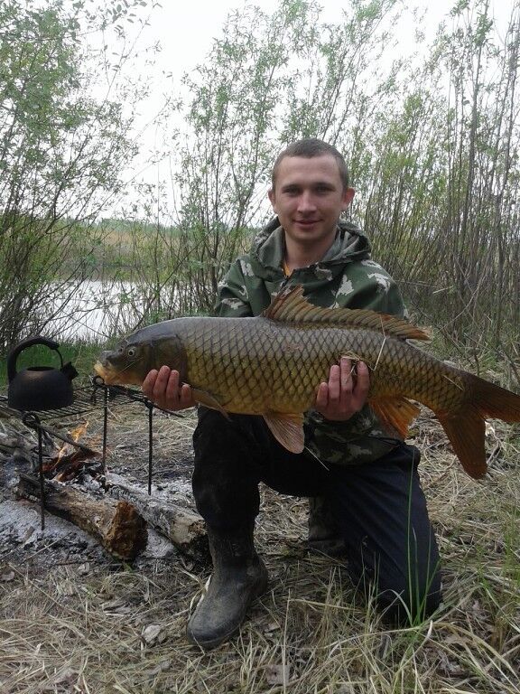 ���� 11351273 ������� ���������, 36 ���, ���� ���������� � ��������