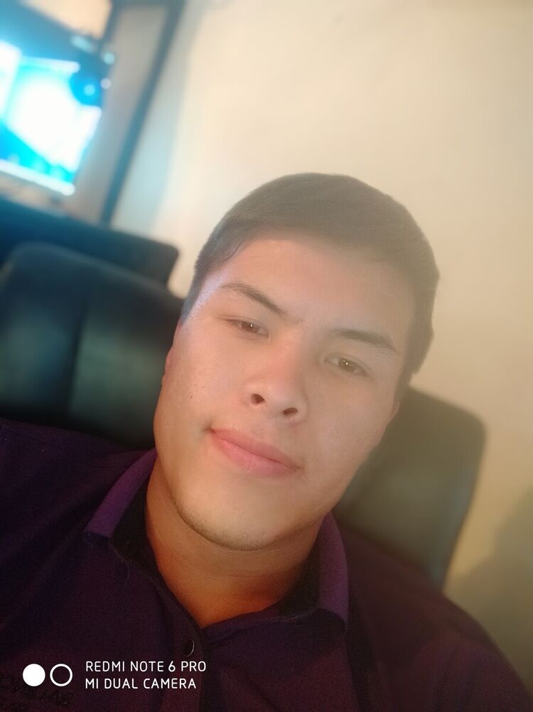  20417863  , 29 ,    