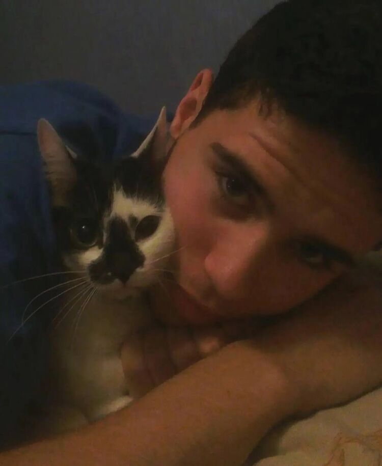 ���������� �������, ���� ������� ������, 29 ���, ������������ ��� ������, ����� � ���������