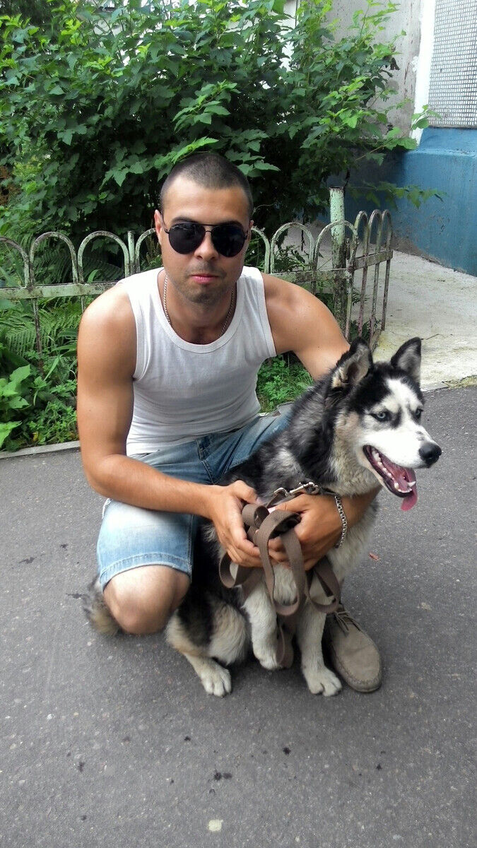 ���� 20841053 ������� ���������, 35 ���, ���� ���������� � �������