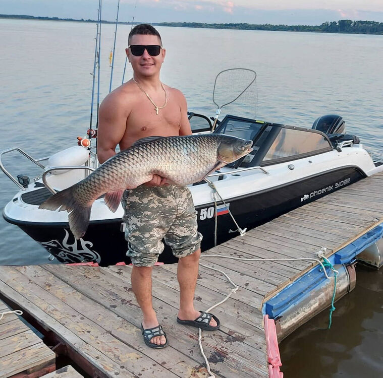 ���������� ������, ���� ������� CanisMajoris, 40 ���, ������������ ��� ������, ����� � ���������, c�������� ���������, ���������