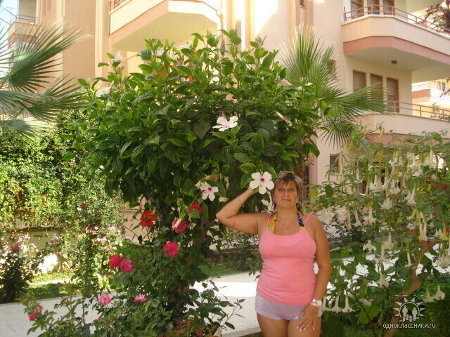  ,   , 53 ,   c 