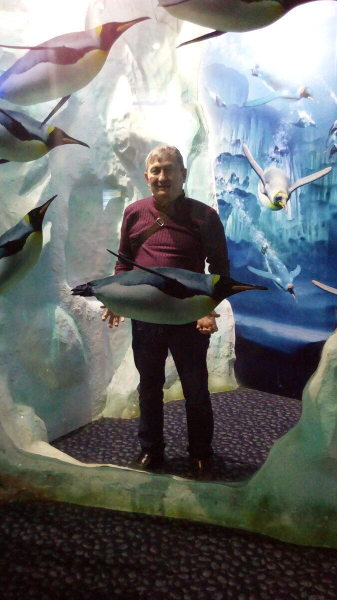  ,   Kaz, 77 ,   