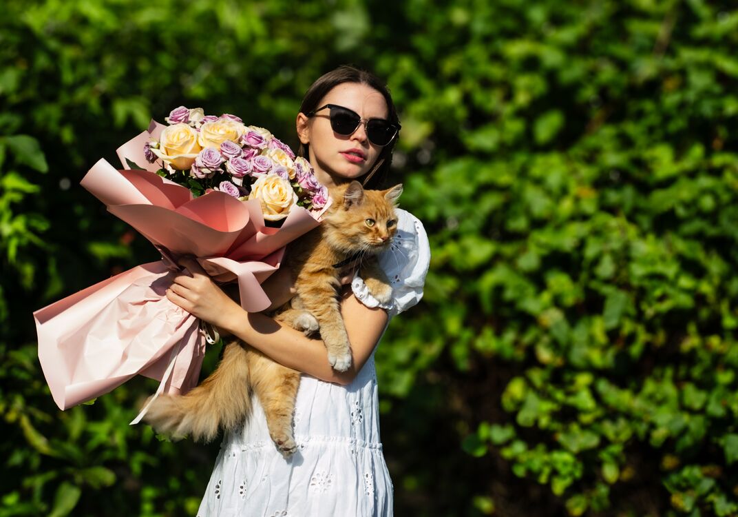 ���� 55172673 ������� ������, 32 ����, ���� ���������� � ������