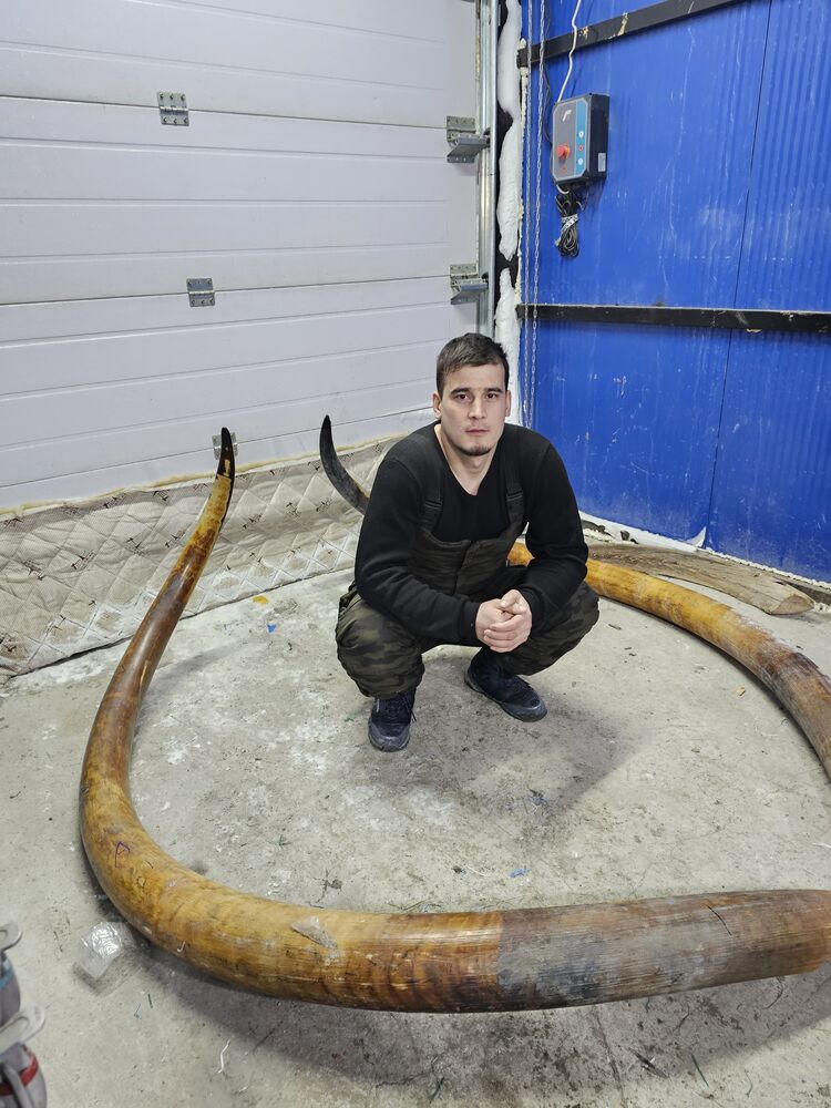 ���������� ������, ���� ������� ��, 26 ���, ������������ ��� ������, ����� � ���������