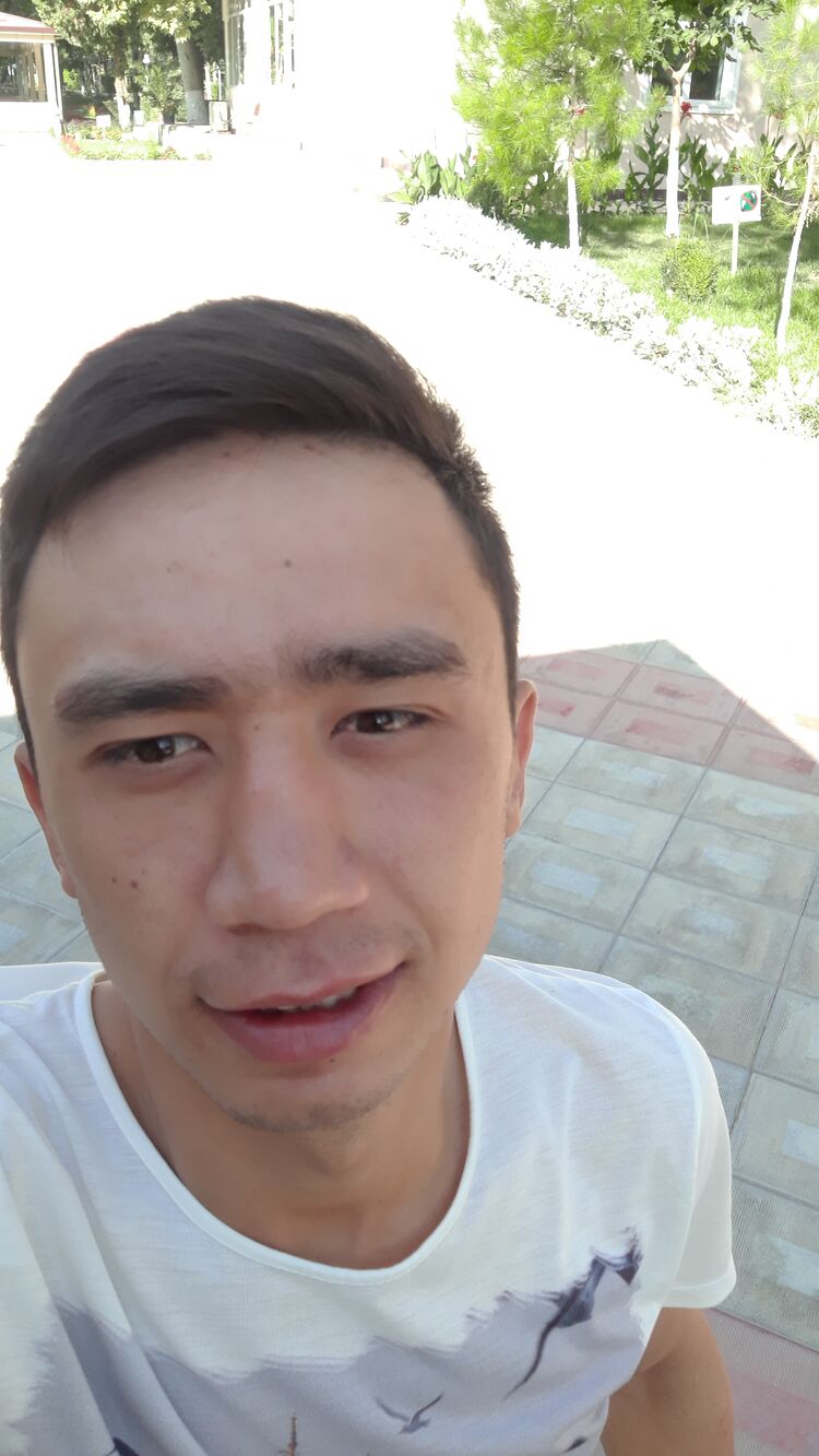  24019323  , 29 ,    