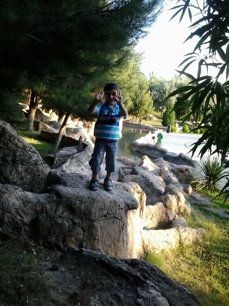 ���������� ����, ���� ������� �����, 54 ����, ������������ ��� ������