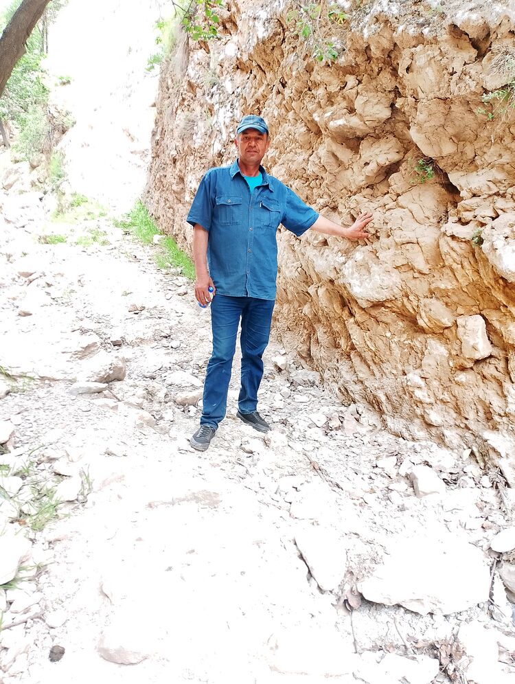 ���������� ��������, ���� ������� Zoir, 54 ����, ������������ ��� ������, ����� � ���������