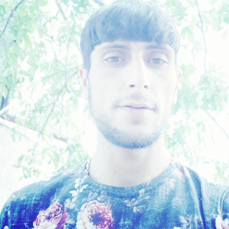  ,   Aleqs, 31 ,   ,   , c 