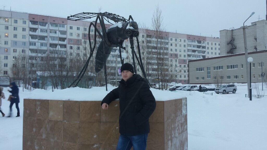 ���� 6846273 ������� �����, 36 ���, ���� ���������� � ����������