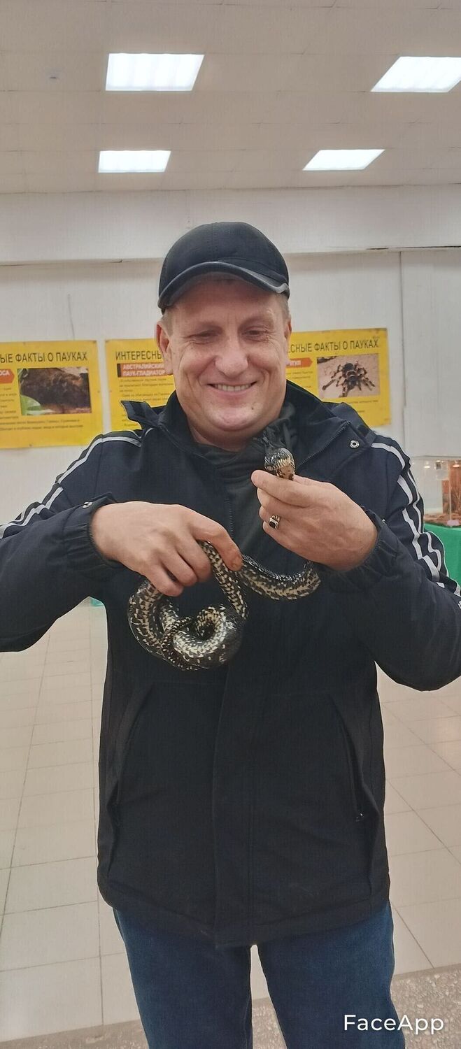 ���� 52966003 ������� ������, 58 ���, ���� ���������� � ���������