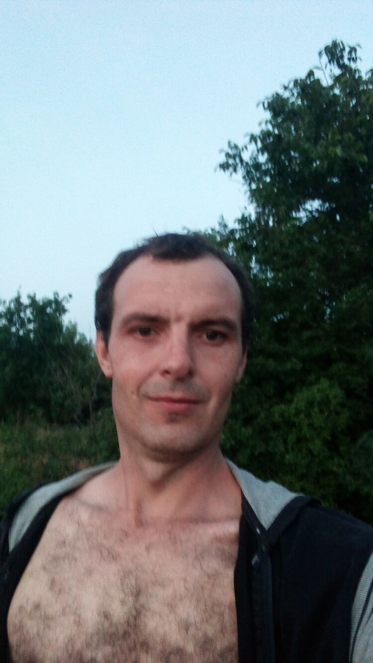  29533173  , 37 ,    