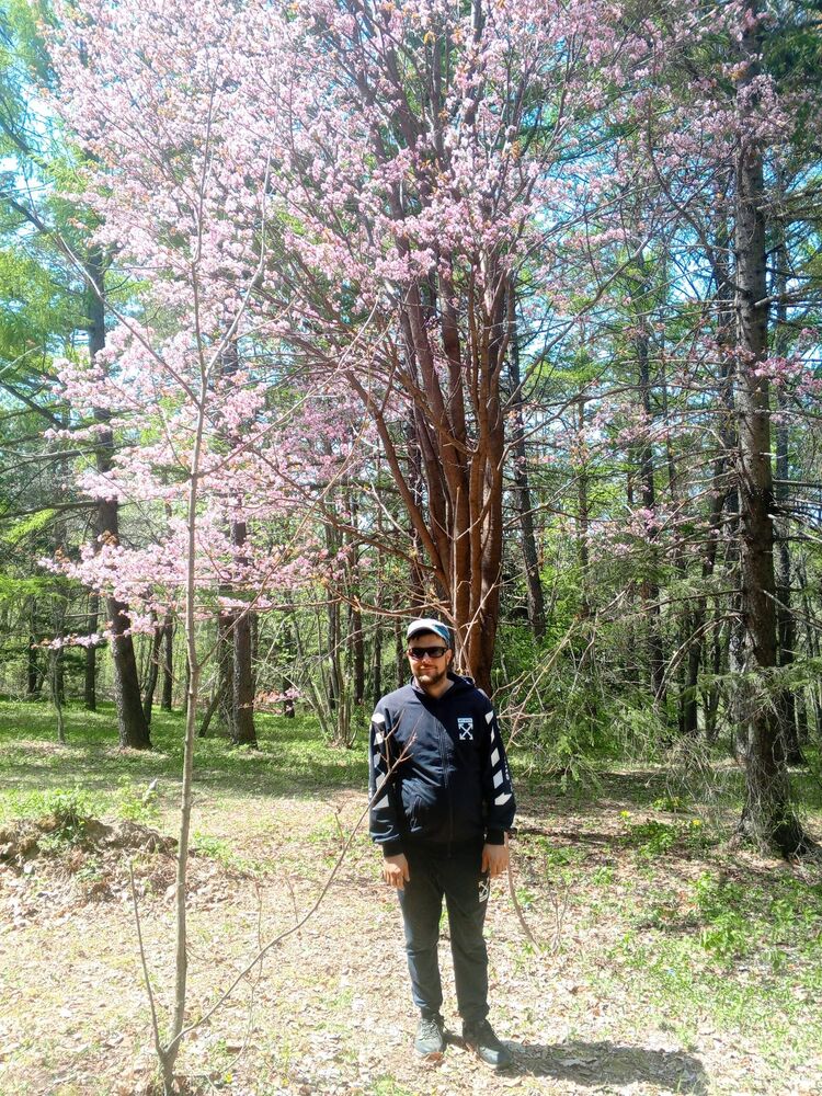 ���� 44441933 ������� ��������, 34 ����, ���� ���������� � ������������