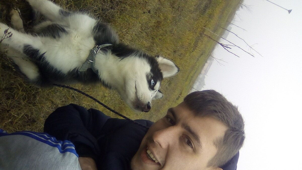 ���� 11049673 ������� ���������, 33 ����, ���� ���������� � ���������