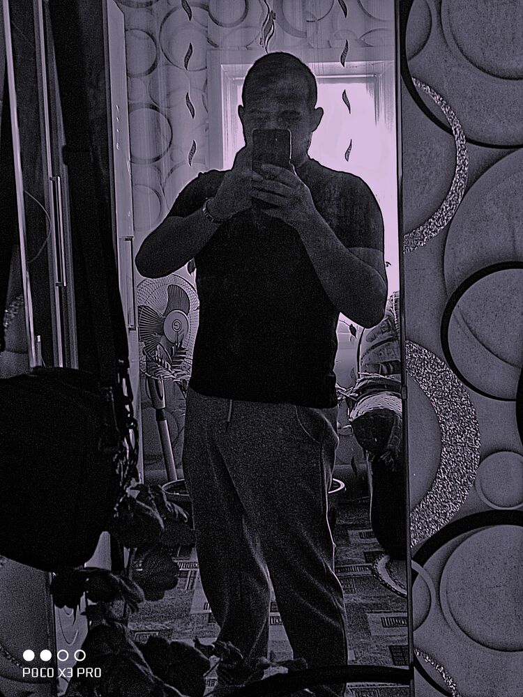 ���� 50185653 ����� �������, 20 ���, ���� ���������� � ���������