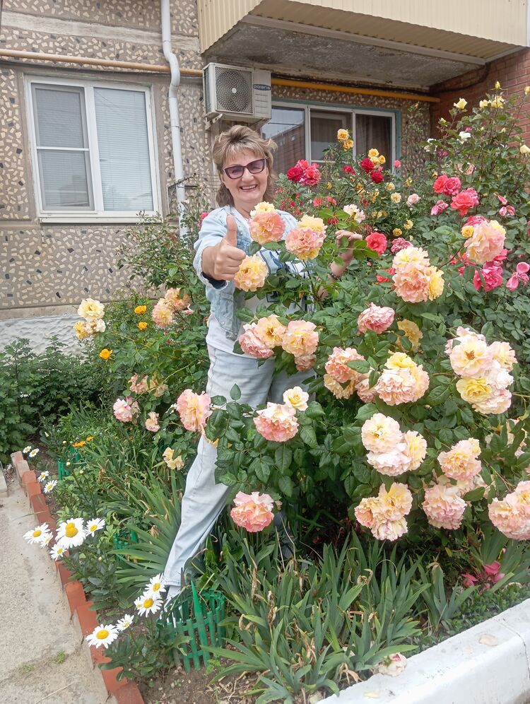  ,   , 59 ,     , c , 