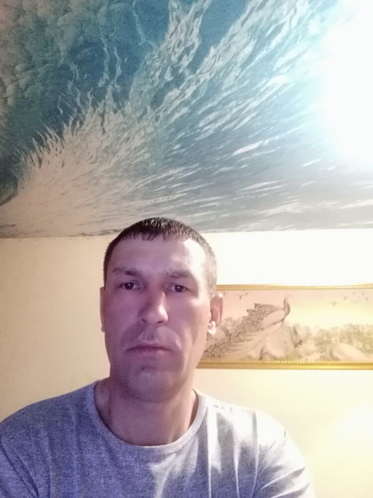  24549813  , 48 ,    