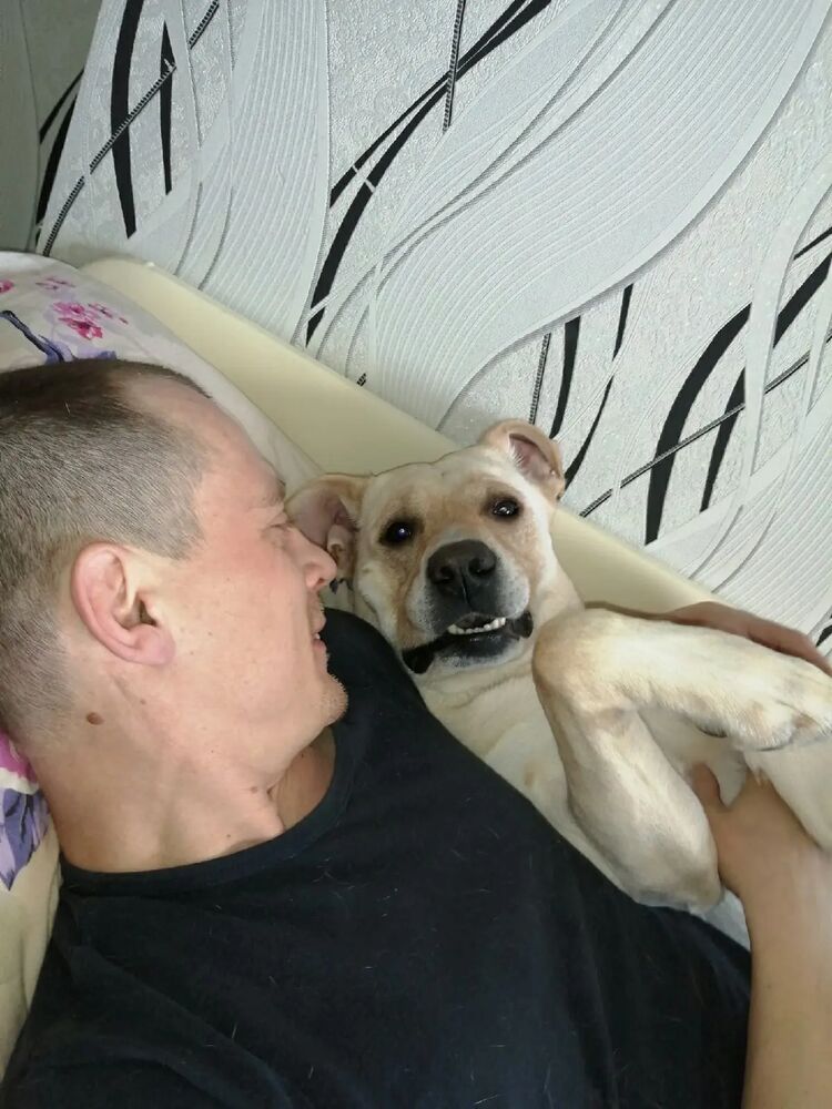 ���� 29267703 ������� ������, 36 ���, ���� ���������� � ���������