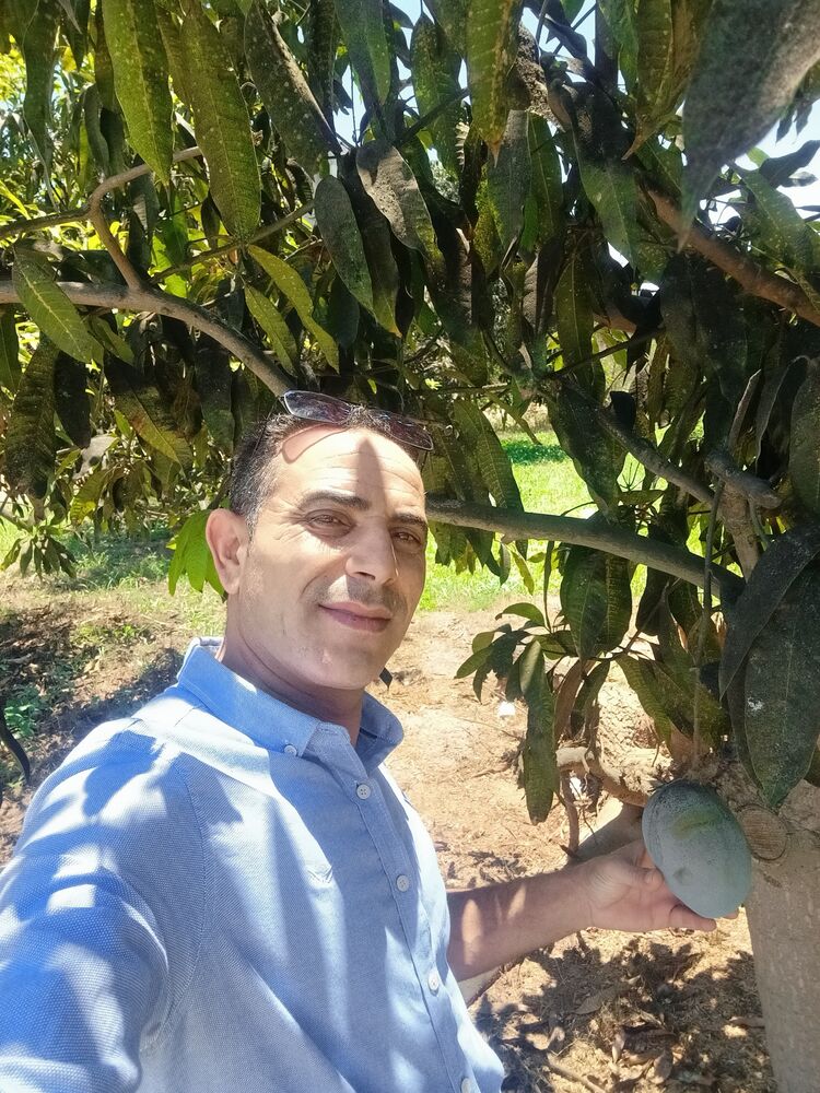  47430133  Wael, 47 ,    