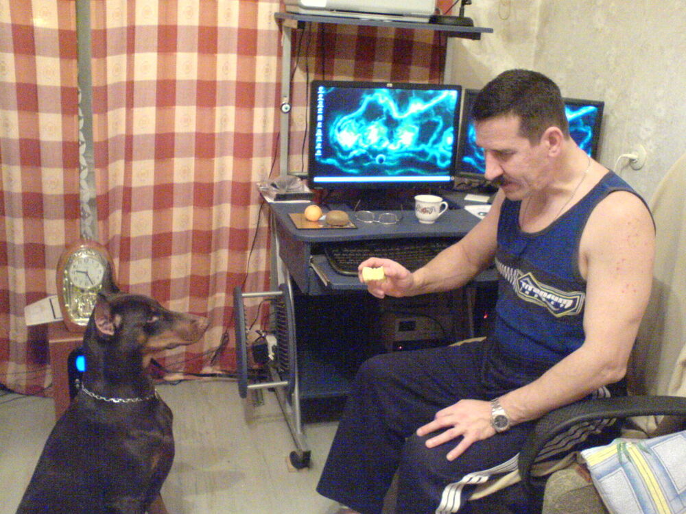 ���������� ����, ���� ������� ����, 60 ���, ������������ ��� ������