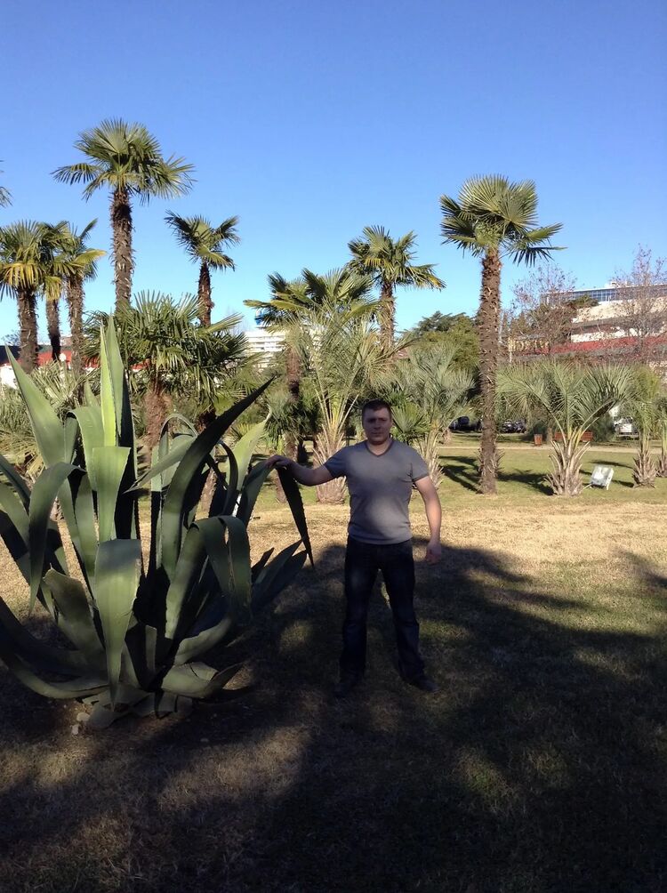 ���� 30592733 ������� �������, 39 ���, ���� ���������� � �����-����������