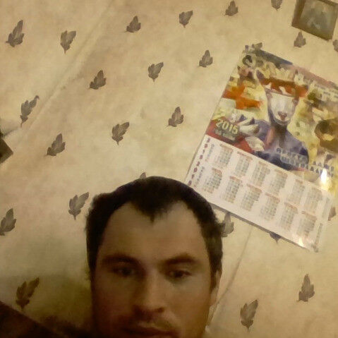 ���� 8110463 ������� ������, 42 ����, ���� ���������� � ������