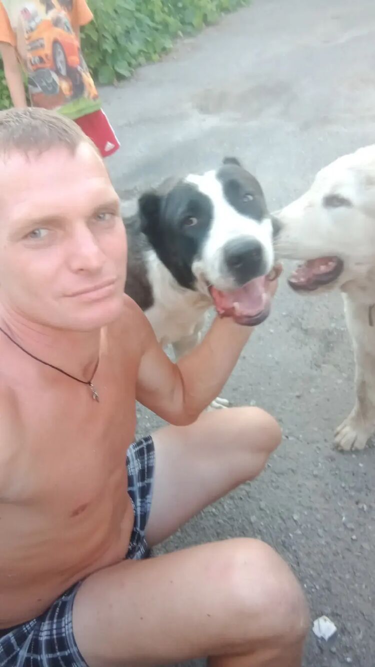 ���� 25883843 ������� ����, 39 ���, ���� ���������� � ������