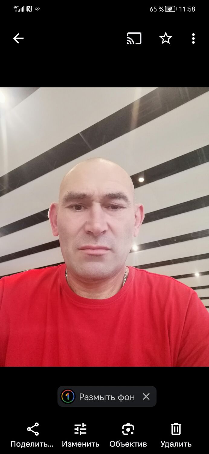  43063913  , 48 ,    