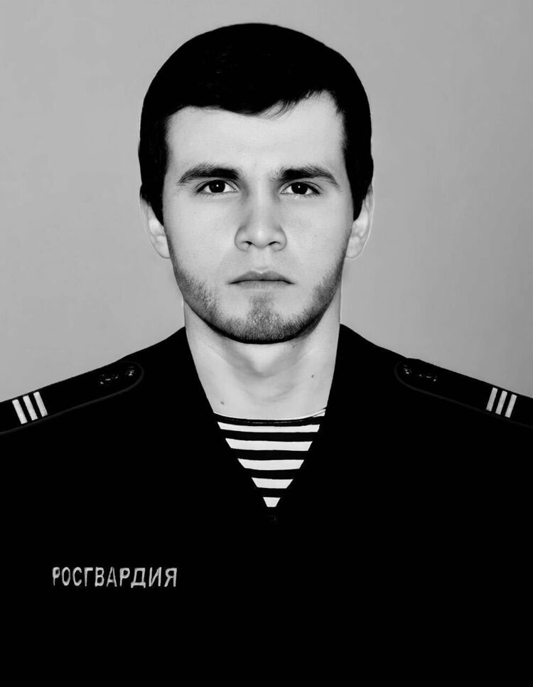 ���� 52331613 ����� ������, 24 ����, ���� ���������� � ������