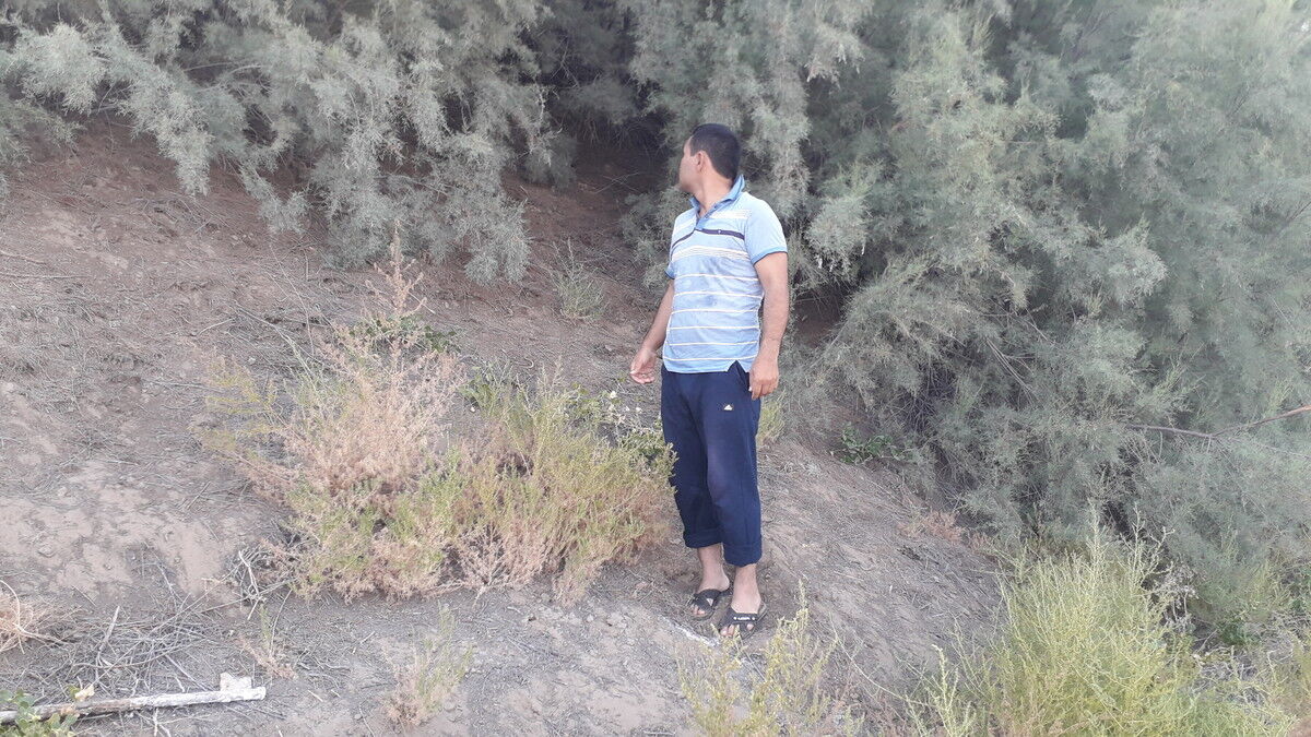 ���� 17216443 ������� ������, 40 ���, ���� ���������� � ��������