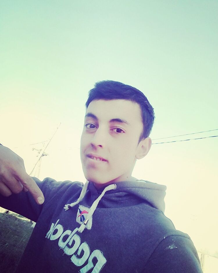  36036593  , 30 ,    
