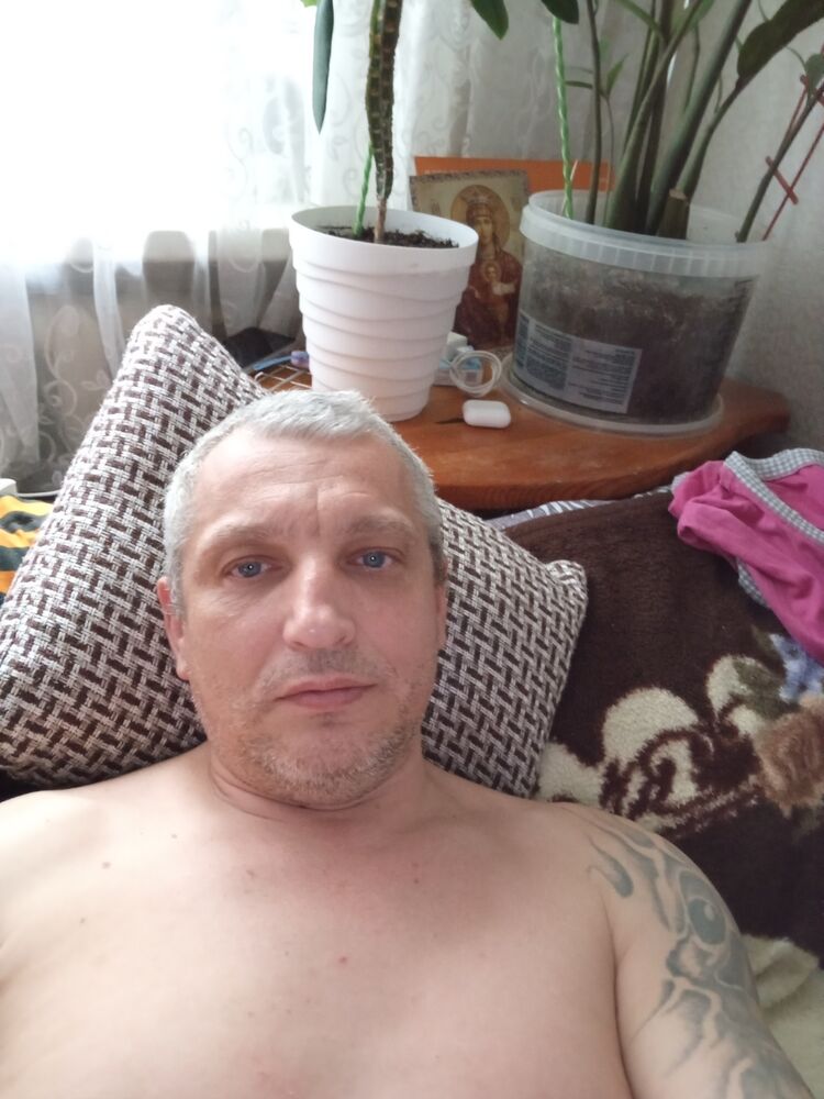  53858683  , 43 ,    