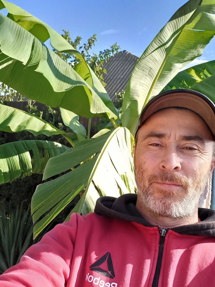  -,   , 47 ,   ,   