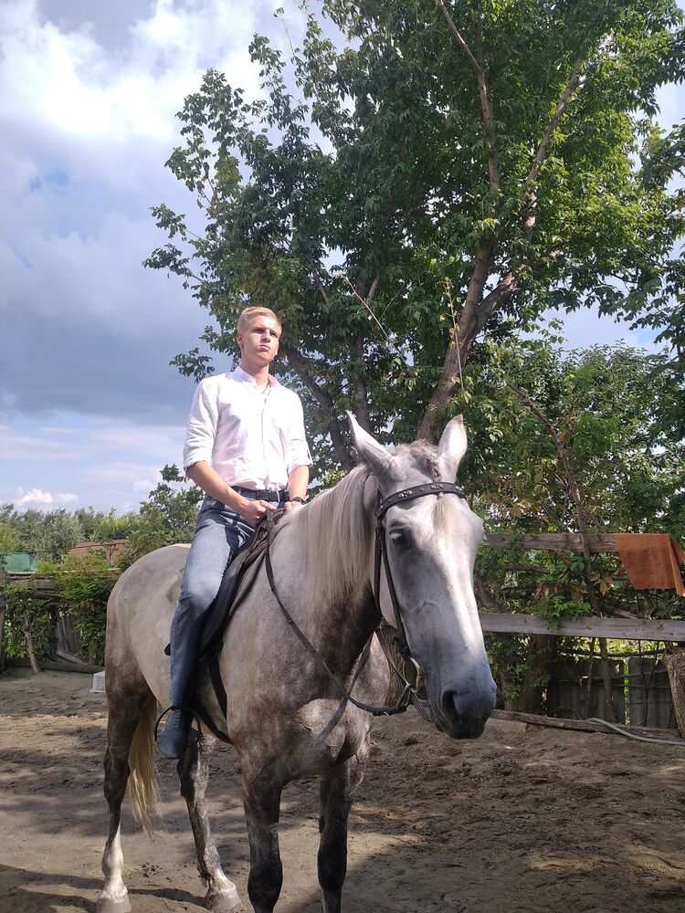 ���� 50950543 ����� ������, 21 ���, ���� ���������� � ��������