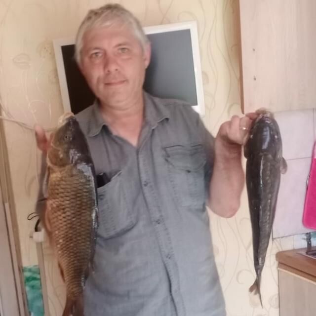 ���� 51571143 ������� ������, 53 ����, ���� ���������� � ������-����������