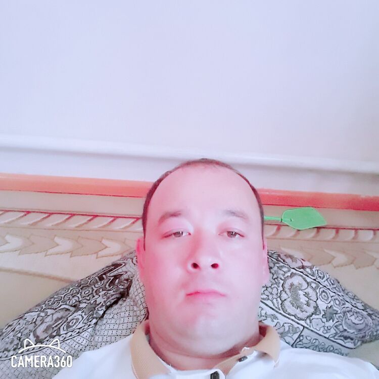  19647663  , 38 ,    