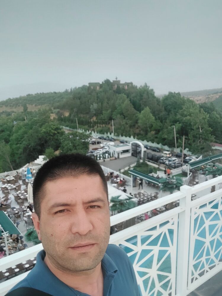  ,   Doni, 41 ,   ,   , 