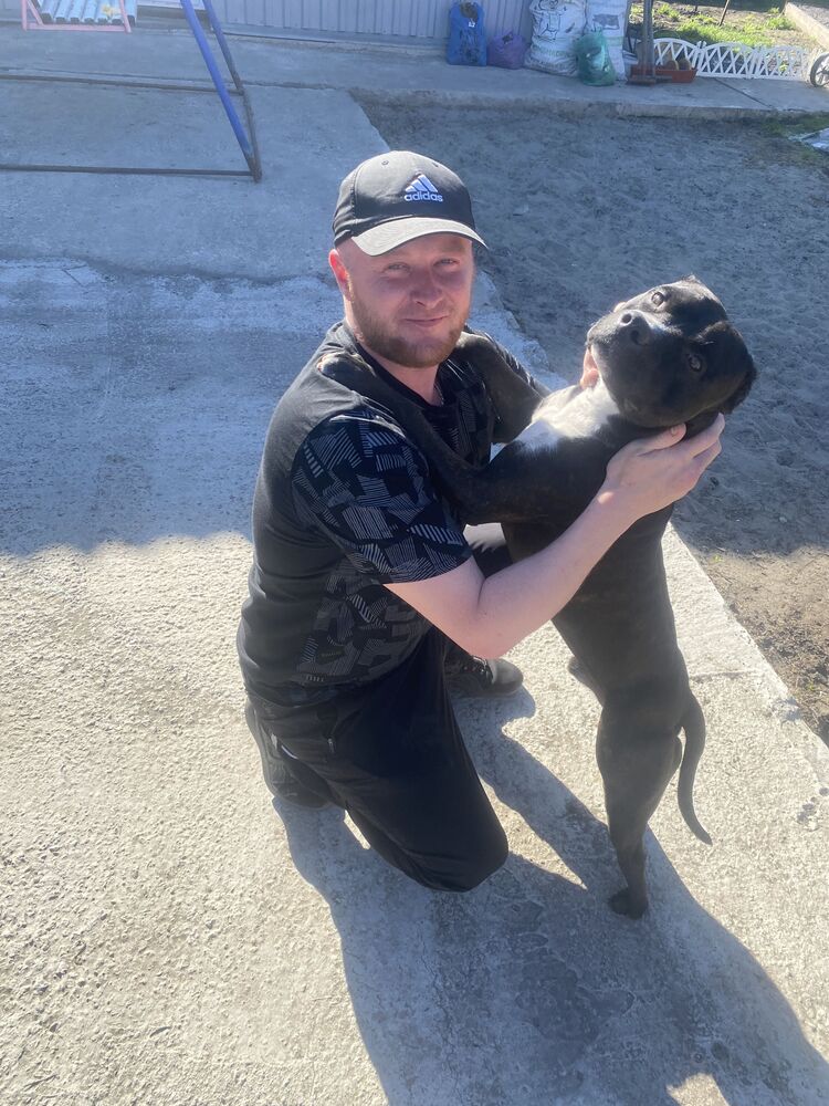 ���������� �������, ���� ������� ����, 36 ���, ������������ ��� ������, ����� � ���������