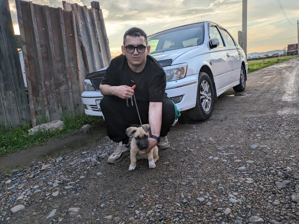  ,   Artur, 31 ,   ,   , c 