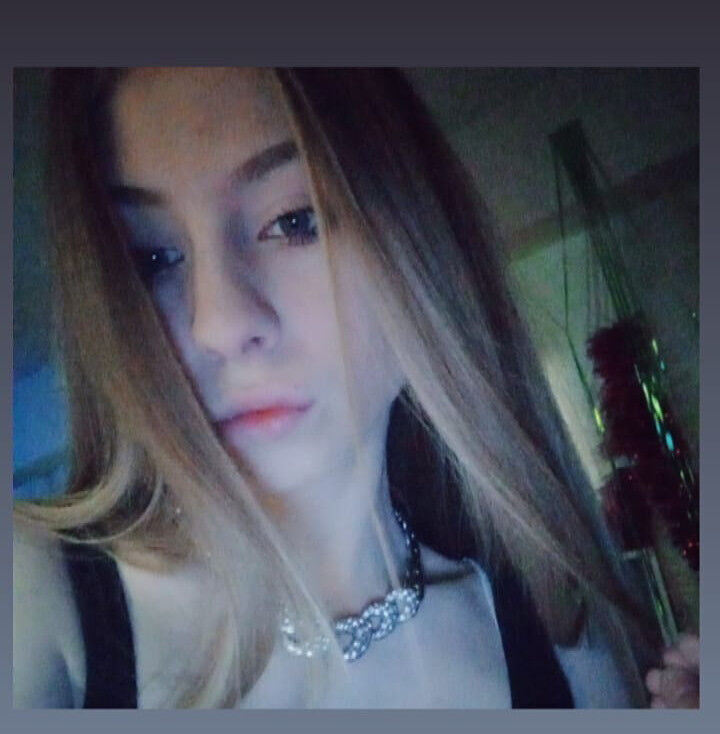  24722383  , 24 ,    -
