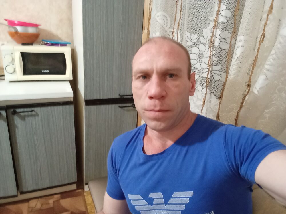  41349803  , 41 ,    