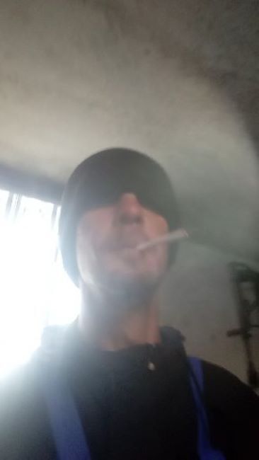  33790153  , 32 ,    